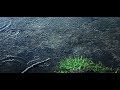 Light Rain Ambient Sound Effect HQ