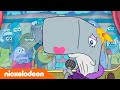 SpongeBob | Kan Parel een ster worden? | Nickelodeon Nederlands