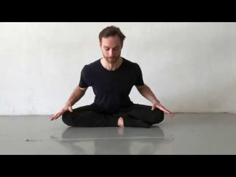 Ballet Quarantine Day 5 - Certified Yoga Instructor Dwayne Holliday Teaches "At Home Calisthenics"