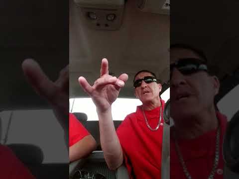 STC blood life wisdom