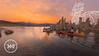 Float into Summer in 360