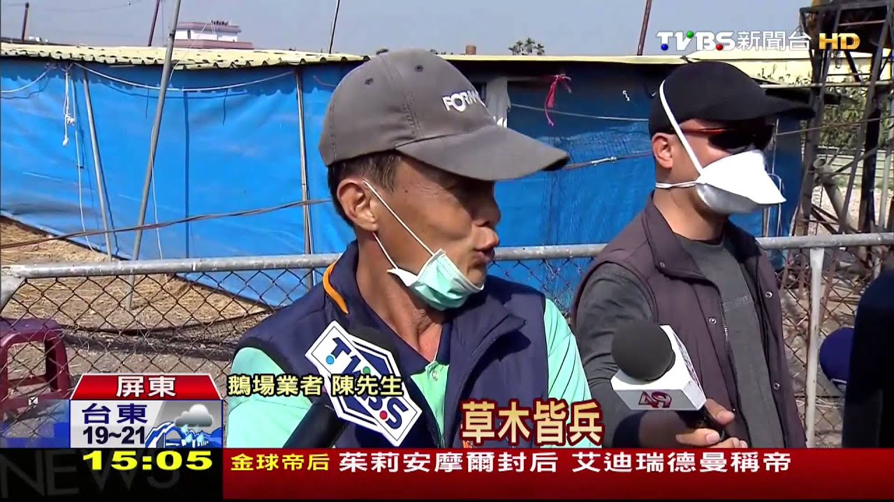 雲林、嘉義死鵝逾3萬隻　化學兵出動大消毒