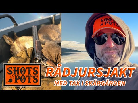 RÅDJURSJAKT MED HAGEL I SKÄRGÅRDEN
