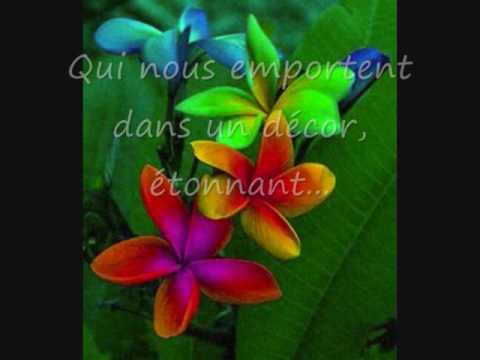 Te Aho Purotu - A la lueur