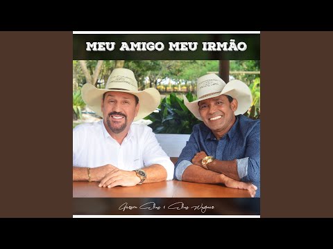 Meu Amigo Meu Irmão