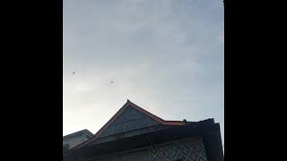 Download lagu BUKTI NYATA SP TOP SANDRO REVISI 99 DI SOPPENG 081355617799 mp3 Download lagu BUKTI NYATA SP TOP SANDRO REVISI 99 DI SOPPENG 081355617799 mp3