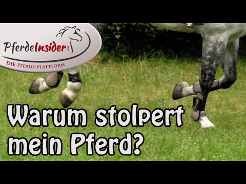 Crunched Nackenschmerzen ist jetzt viel Salbe zur Behandlung von Verstauchungen Hals
