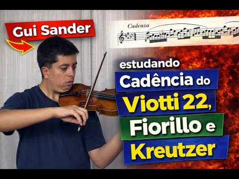 22 - Violins