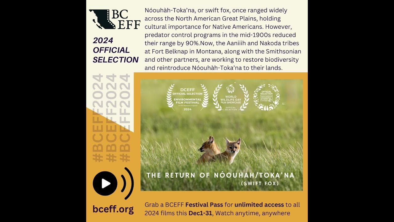 The Return of Nóouhàh-Toka’na