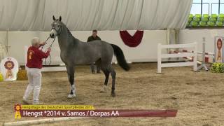 Video de Sergio 46