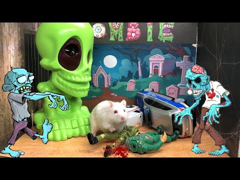 Hamster vs Zombies 🐹 Hamster Escape from Obstacle Zombie Maze  😱