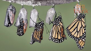 Today's Employee: Creative. Adaptive. Temporary.