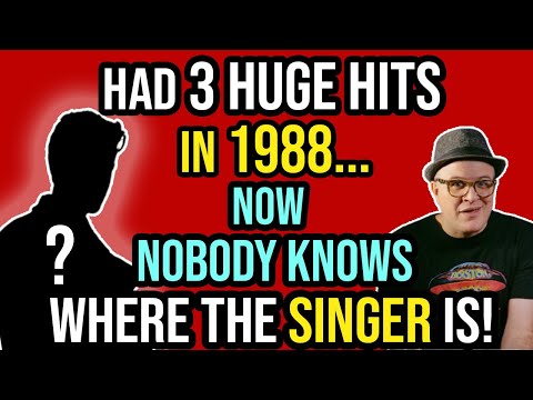 3 HUGE Hits in 1988…Then GONE! Does Anyone Know WHERE the HELL the SINGER is? | Professor of Rock