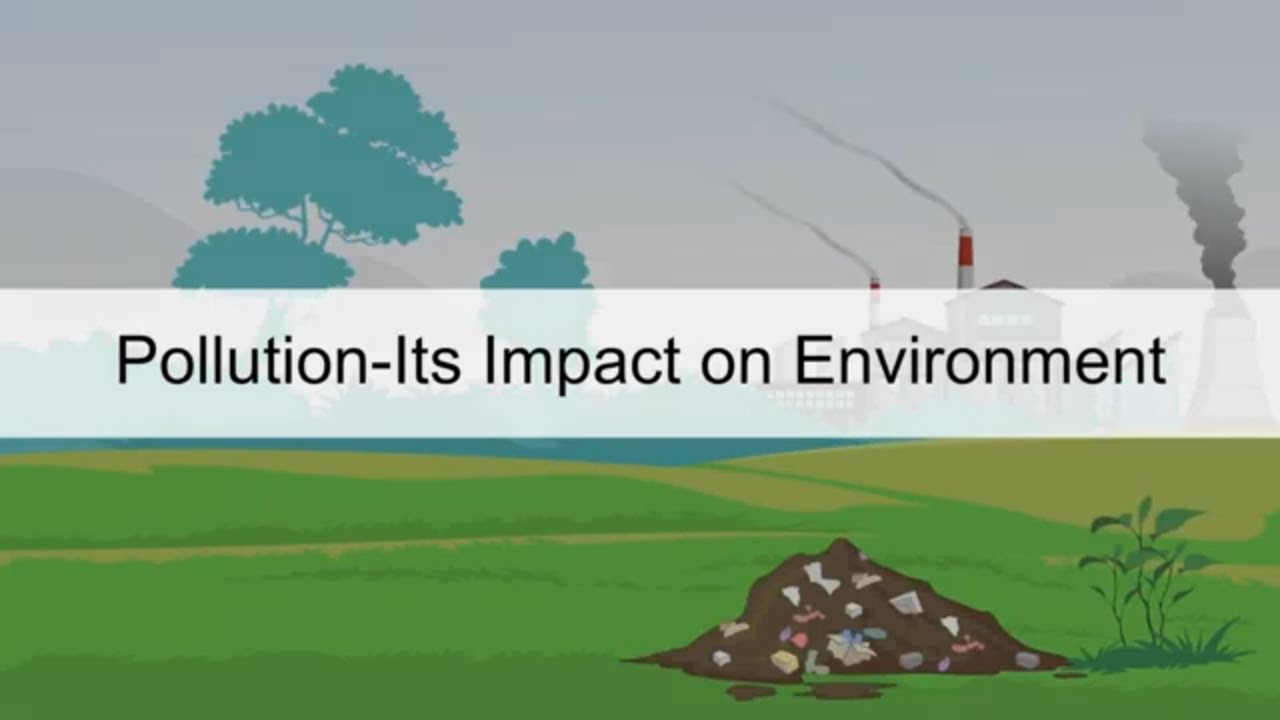 Pollution and Its Impact on Environment | Social Studies Class 4 |
