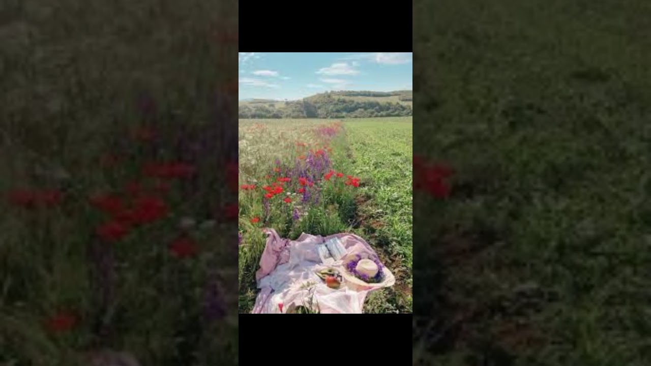 cottage core× fairy core wallpapers