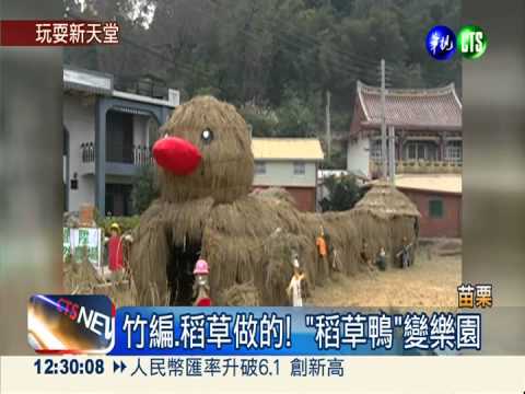 與黃小鴨比美! 苗栗"稻草鴨"搶眼