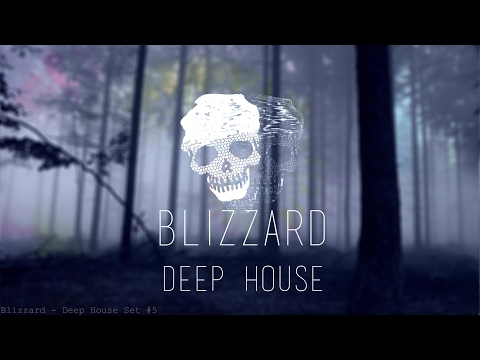 Blizzard - DeepHouse Set #5