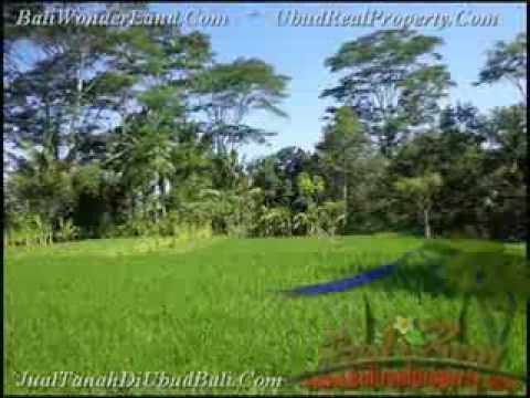 2.885 m2 Lahan View Sawah dan sungai Kecil di Ubud TJUB442 2.885 m2 Lahan View Sawah dan sungai Kecil di Ubud TJUB442
