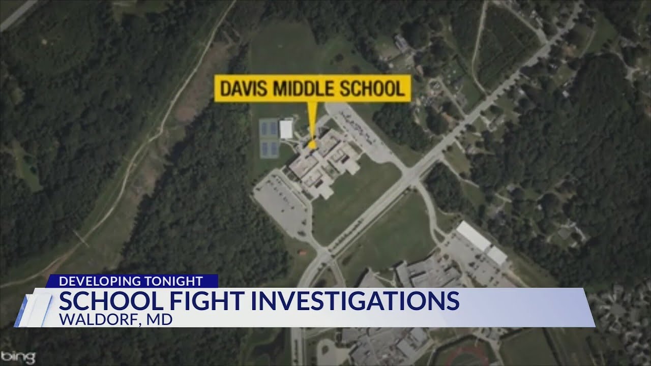 Video of Charles County middle school staff member allowing fight under investigation