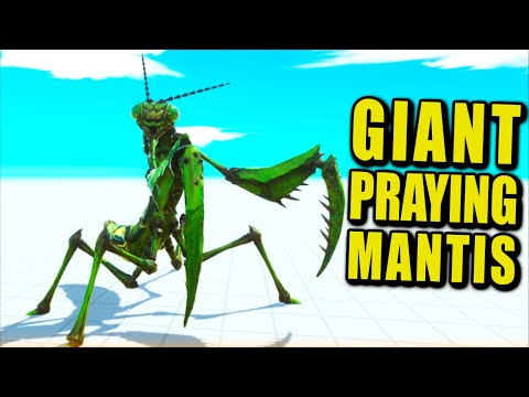 NEW UNIT! GIANT PRAYING MANTIS vs Every Unit 1v1 with Health Bar - Animal Revolt Battle Simulator