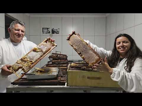 Empreender  Globoplay - TV Rio Sul - Turismo Rural de Paty do Alferes