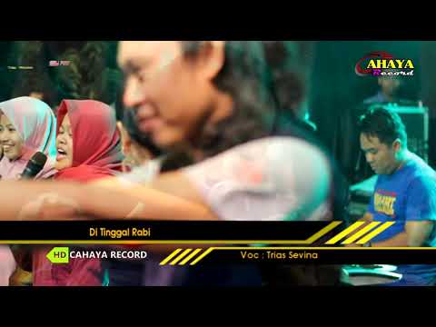 download lagu mp3 mp4 Newport Live, download mp3 Newport Live free download mp3, download mp3 Newport Live