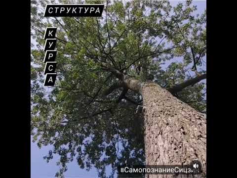 Self-Discovery with I Ching. Course. How the course is organized? Russian.