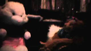 bunny and the monkey talking:L