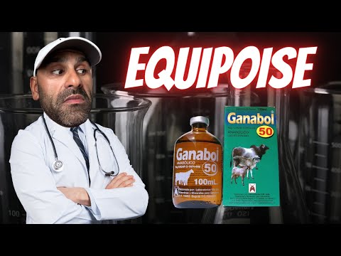 STEROID PROFILE | EQUIPOISE