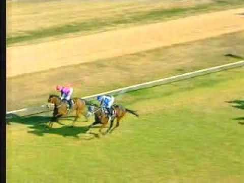 27 July 2019 Borrowdale Park race 6