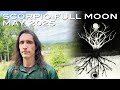 Scorpio Full Moon Pluto Rx Jupiter Square The Nodes In May 2025 The Big Turnover Purge