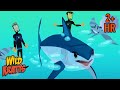 The Fastest Shark Vs The Fastest Fish Mako Shark Vs Sailfish Wild Kratts