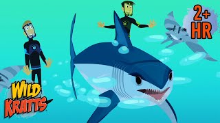 Download lagu The Fastest Shark Vs the Fastest Fish | Mako Shark Vs Sailfish | Wild Kratts mp3 Download lagu The Fastest Shark Vs the Fastest Fish | Mako Shark Vs Sailfish | Wild Kratts mp3