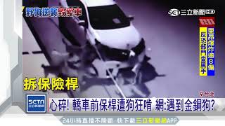 [問題] 車子被狗抓傷，維修價??