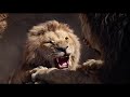The Lion King 2019 Mufasa S Death Bulgarian Blu Ray