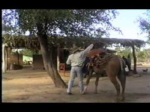 Dalmiro Cuellar - El criollo