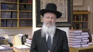 הרב הגאון אברהם יוסף שליט"א  האם מותר לצוד חיות פרשת אחרי מות קדושים תשפ"ה (הערוץ של הרב אברהם יוסף) - התמונה מוצגת ישירות מתוך אתר האינטרנט יוטיוב. זכויות היוצרים בתמונה שייכות ליוצרה. קישור קרדיט למקור התוכן נמצא בתוך דף הסרטון