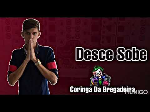 Coringa Da Bregadeira - (Desce Sobe) | Música Nova