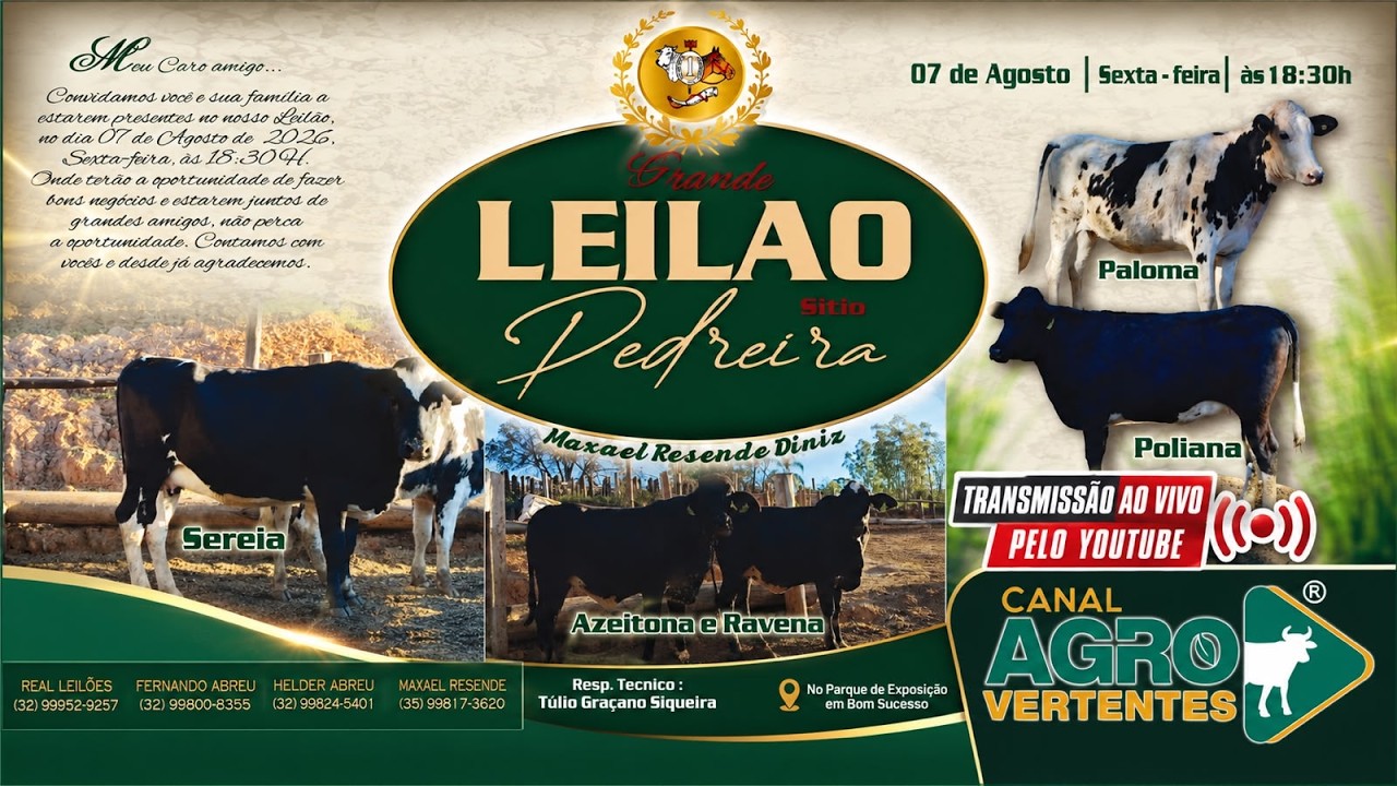 GRANDE LEILÃO FAZENDA PEDREIRA - MAXAEL RESENDE DINIZ - BOM SUCESSO/MG - 07/08/2026