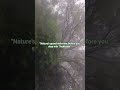 Scenicroad Nature Keralaroadtrip Thekkady Kerala Barish Kovalam Tourist Places Kovalam