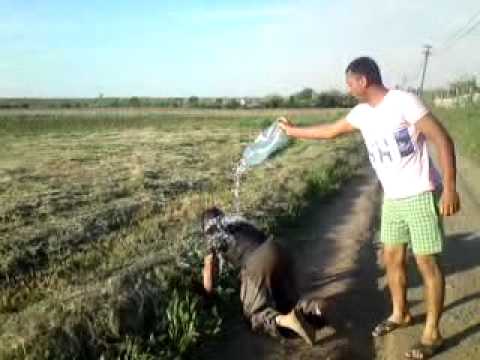 gargarita din grebanu