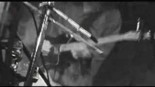 Polytoxic "Great Divide"