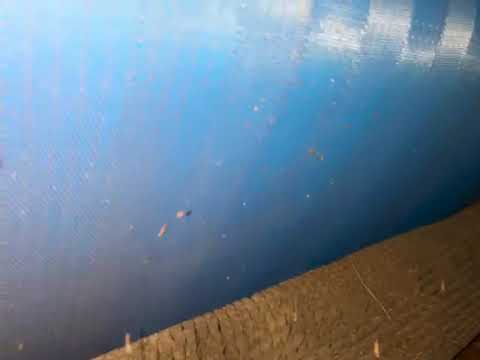 Runnick ernners Swiss combi belt dryer P260130025