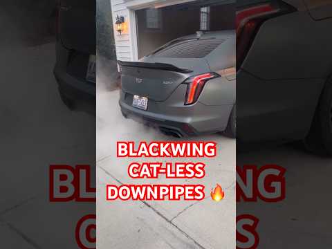 CAT-LESS DOWNPIPES + 7am REVS 😂 #blackwing #ct4v