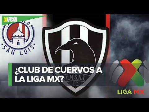 Will the Cuervos Negros join Liga MX? Carlos Alazraki bought Atlético de San Luis.