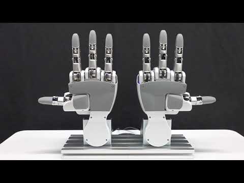 Torobo Hand Review Video 1