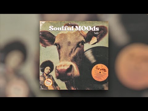 Vintage Soul Samples - Soulful MOOds Vol. 6 by Moo Latte (Preview)