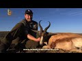 Springbok Hunting With Side By Side Safaris Part 1