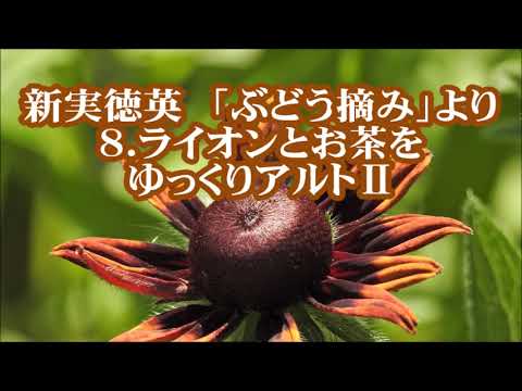 新実徳英　「ぶどう摘み」より　８．ライオンとお茶を　ゆっくりアルトⅡ