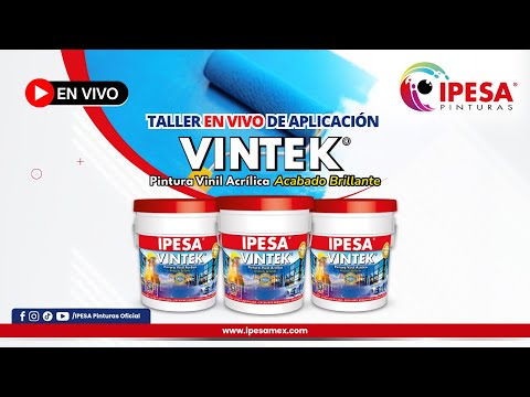 Capacitación Técnica VINTEK / TEKLINE | IPESA Pinturas